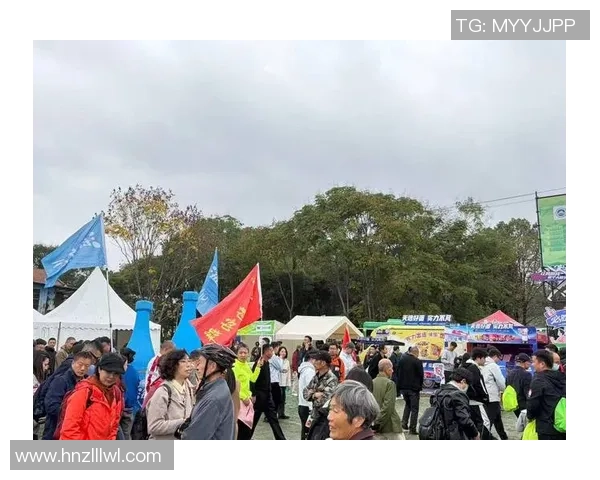 武汉排球队挑战赛特别报道：从默默无闻到荣耀巅峰的奋斗历程