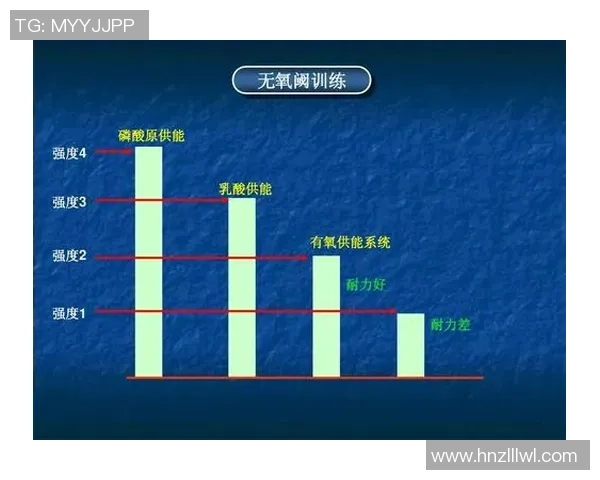 武汉羽毛球队反击战术解析与实战应用探讨